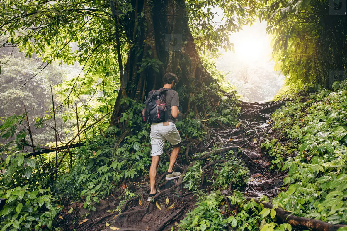 Forest trail Goa